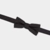 Klasyczna muszka D2 Klasyczna muszka D2